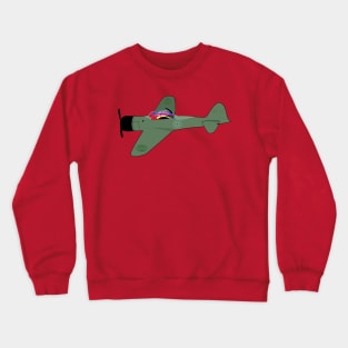 old plane Crewneck Sweatshirt